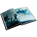 esaln07es_2.webp